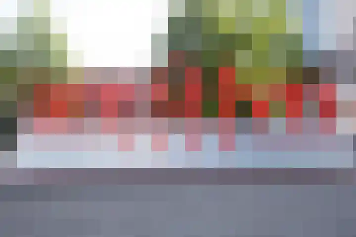 Wimbledonpark 253 Amstelveen thumbnail 39