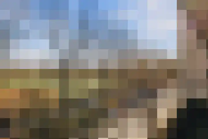 Wimbledonpark 255 Amstelveen thumbnail 46