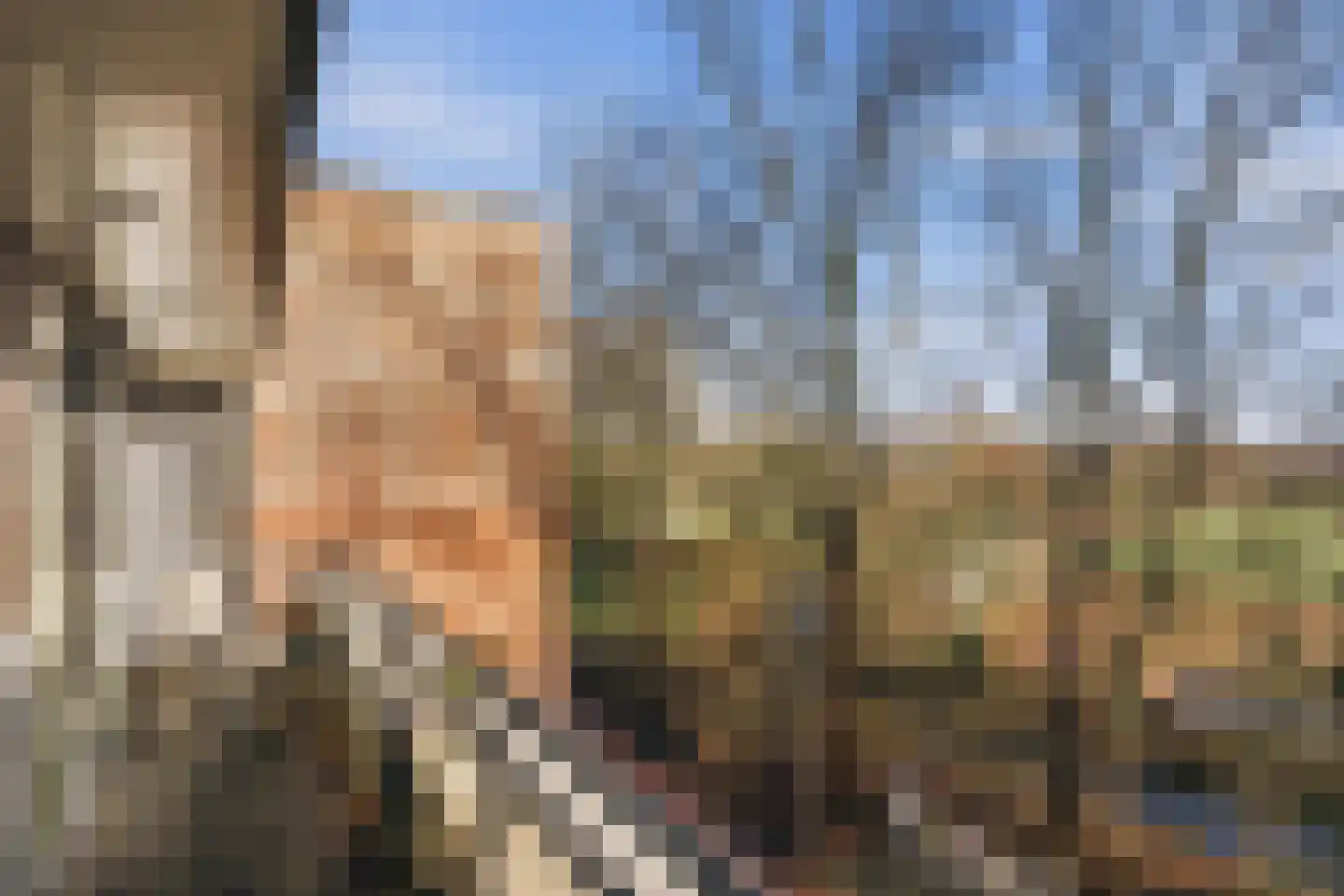 Wimbledonpark 255 Amstelveen thumbnail 56