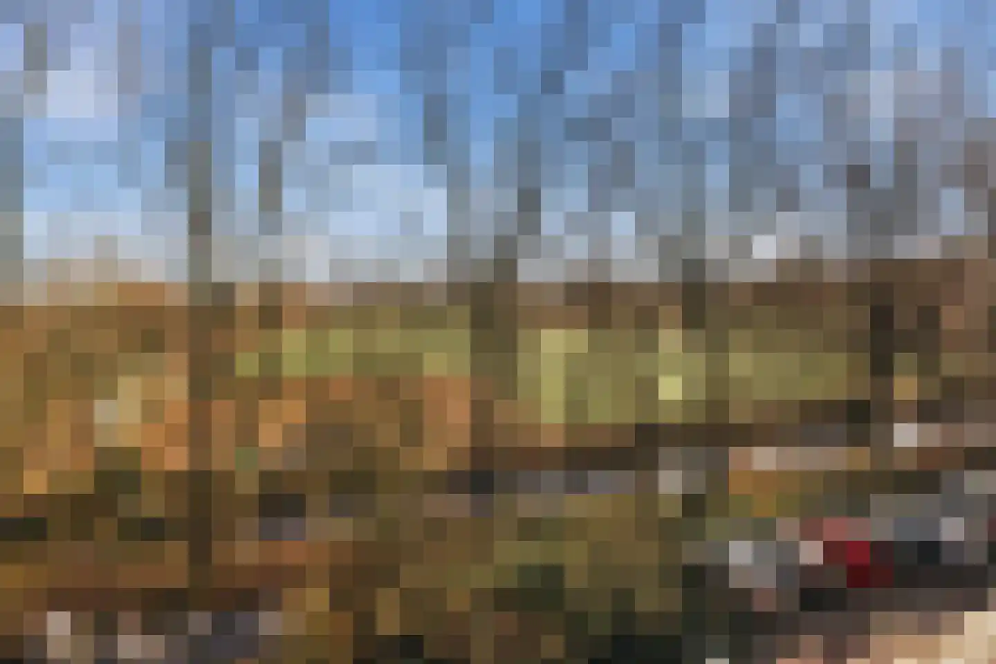 Wimbledonpark 255 Amstelveen thumbnail 57