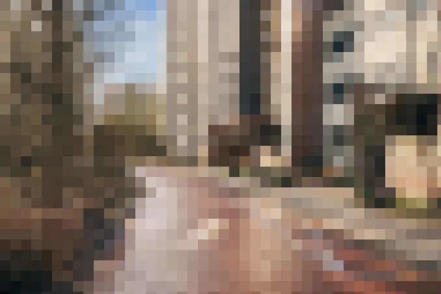 Wimbledonpark 255 Amstelveen thumbnail 67