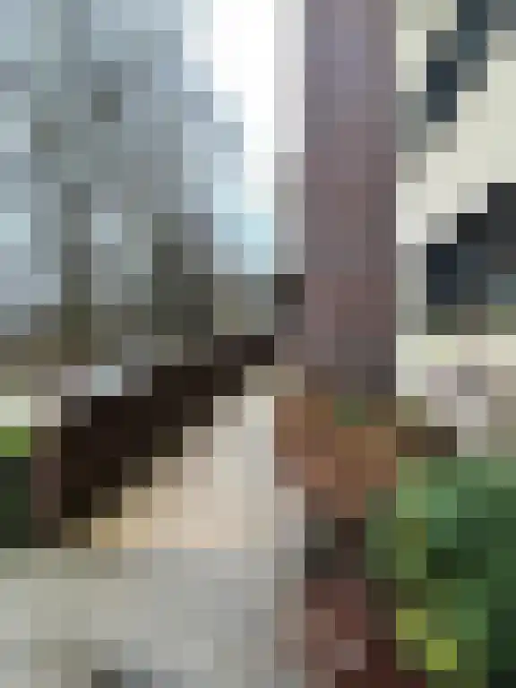 Wimbledonpark 281 Amstelveen thumbnail 5