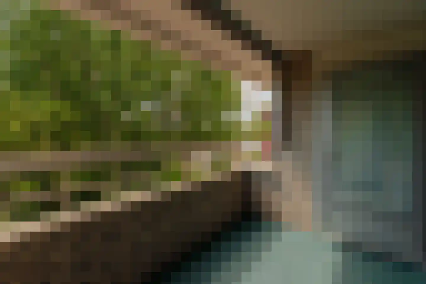 Wimbledonpark 51 Amstelveen thumbnail 12