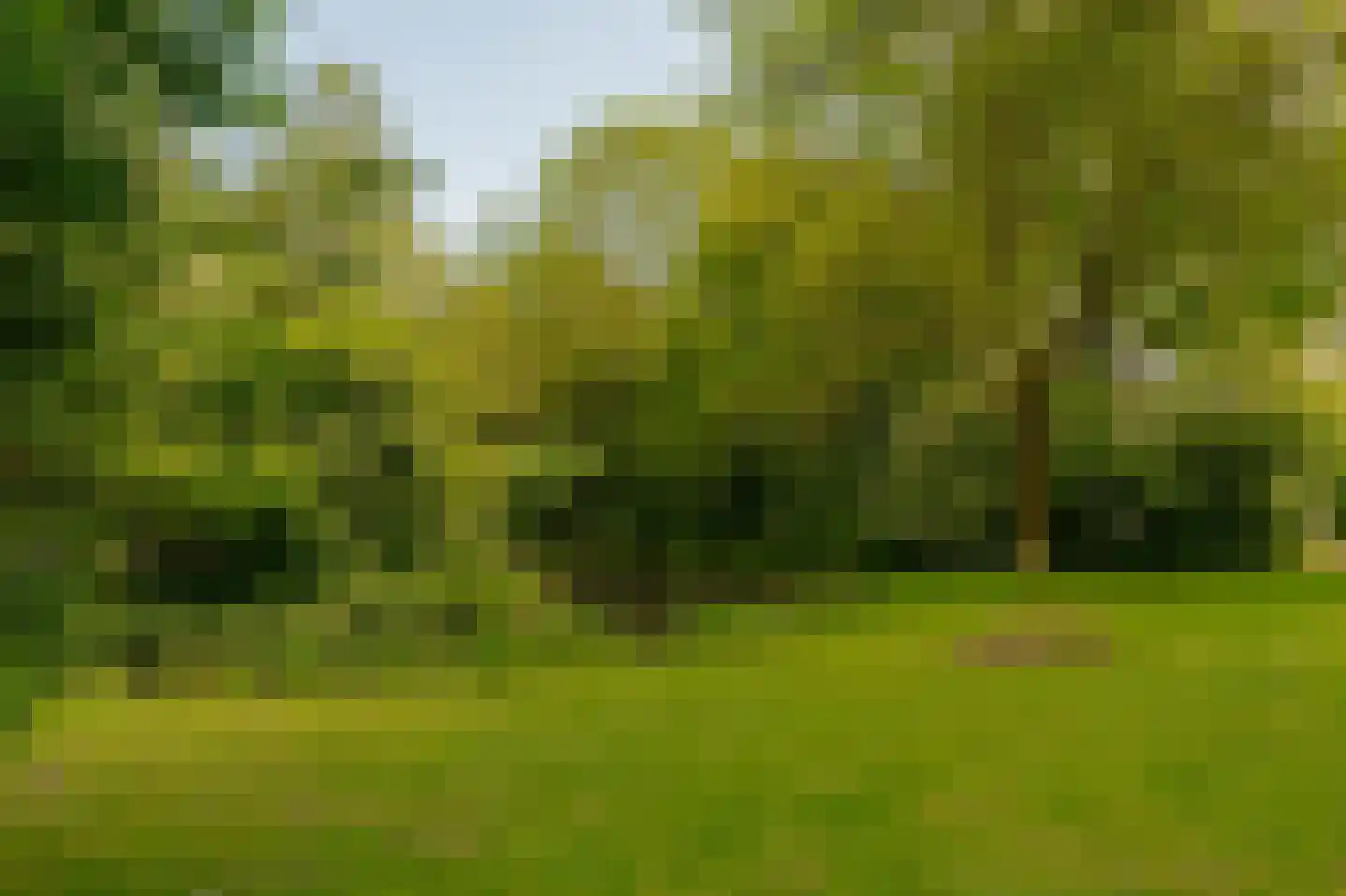 Wimbledonpark 51 Amstelveen thumbnail 24