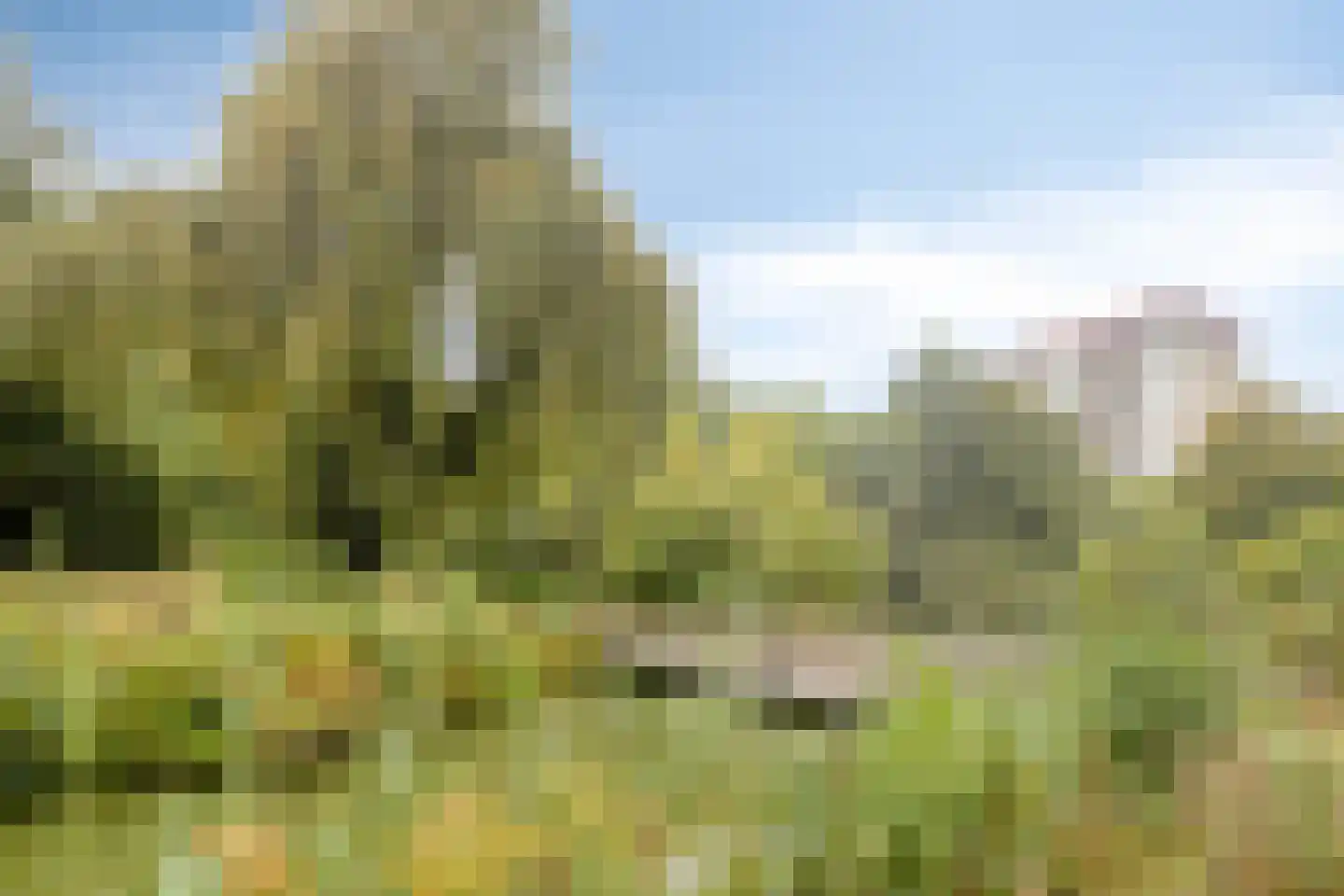 Wimbledonpark 65 Amstelveen thumbnail 30