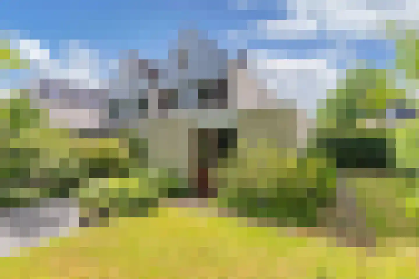Wimerts 169 Drachten thumbnail 33