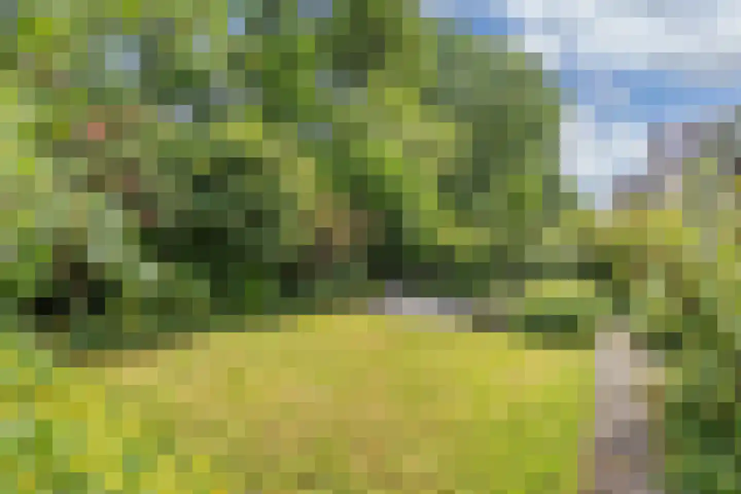 Wimerts 169 Drachten thumbnail 36