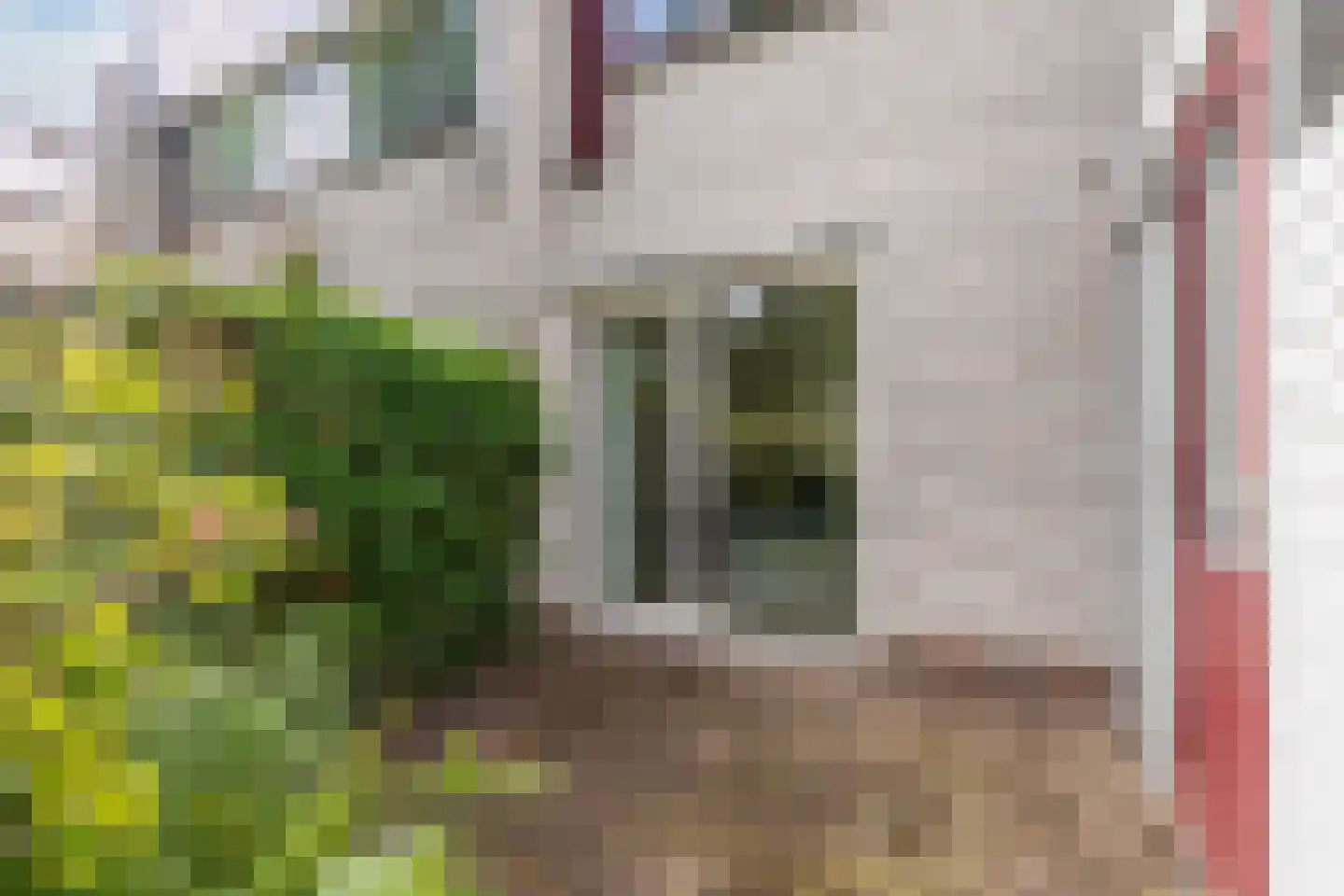 Wimerts 169 Drachten thumbnail 38