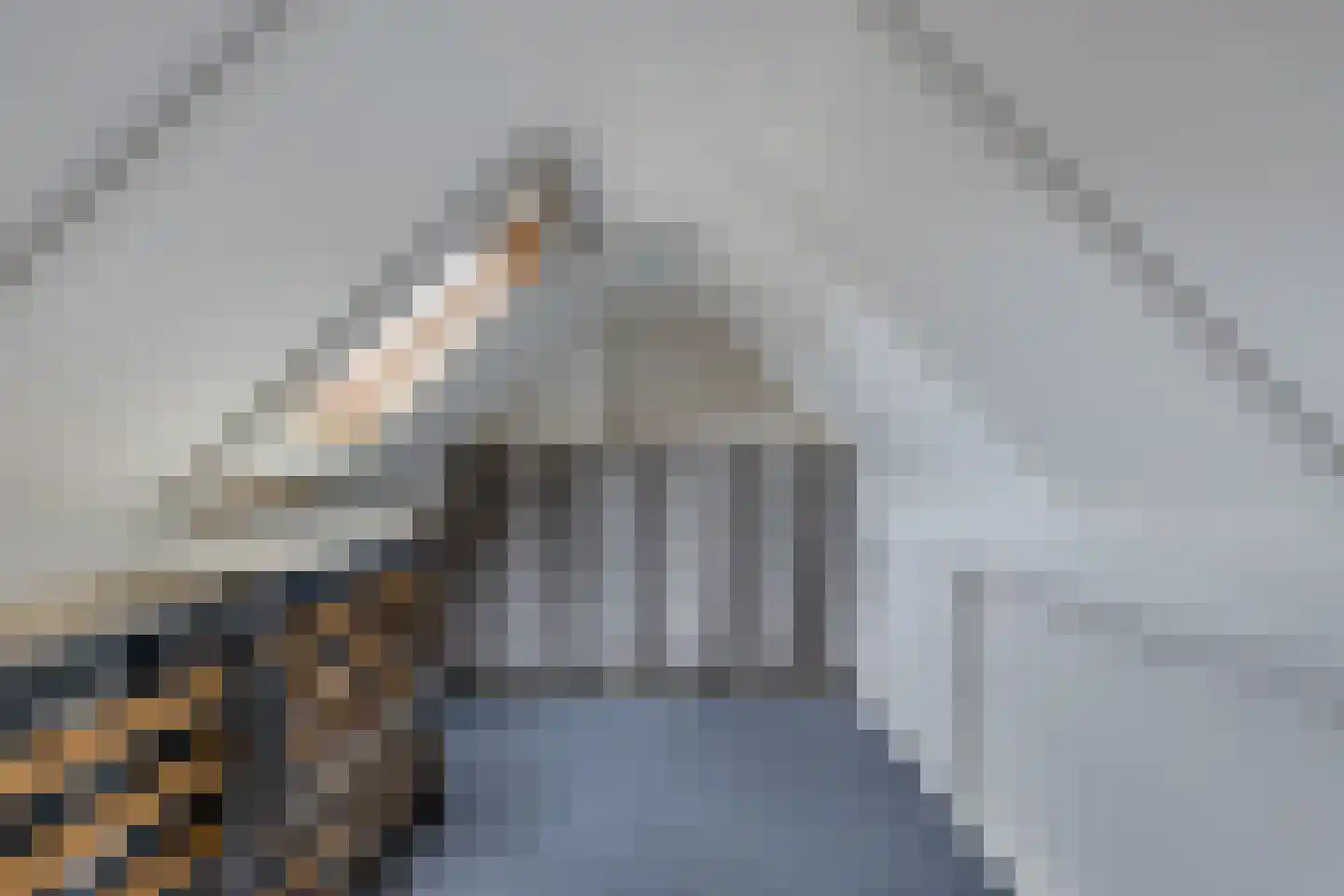 Wimerts 7 Drachten thumbnail 43
