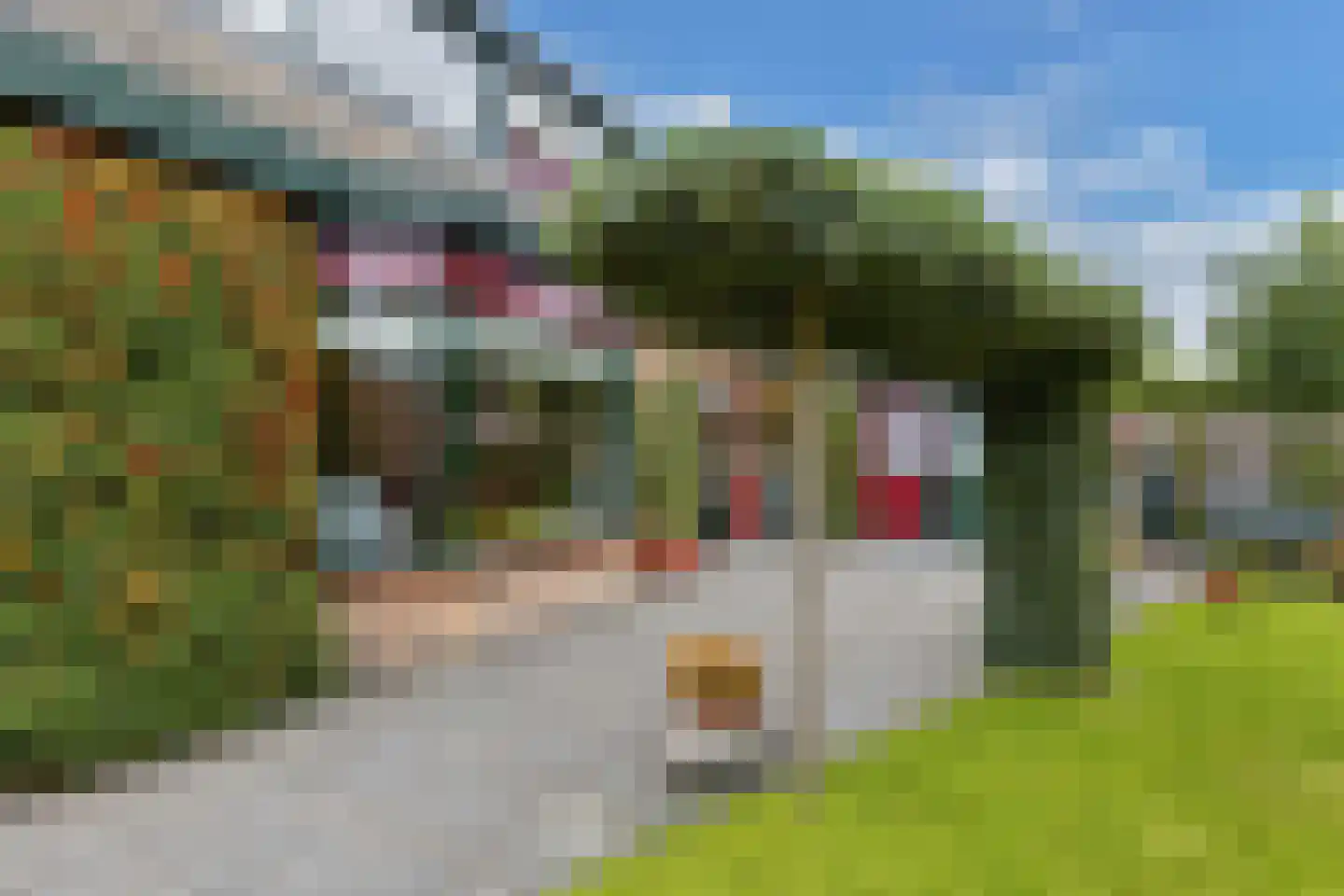 Wimerts 7 Drachten thumbnail 49