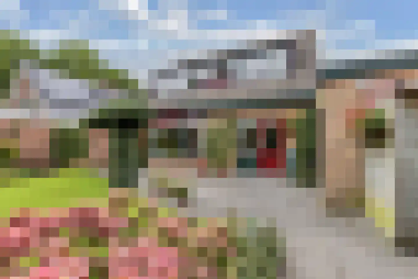 Wimerts 7 Drachten thumbnail 51