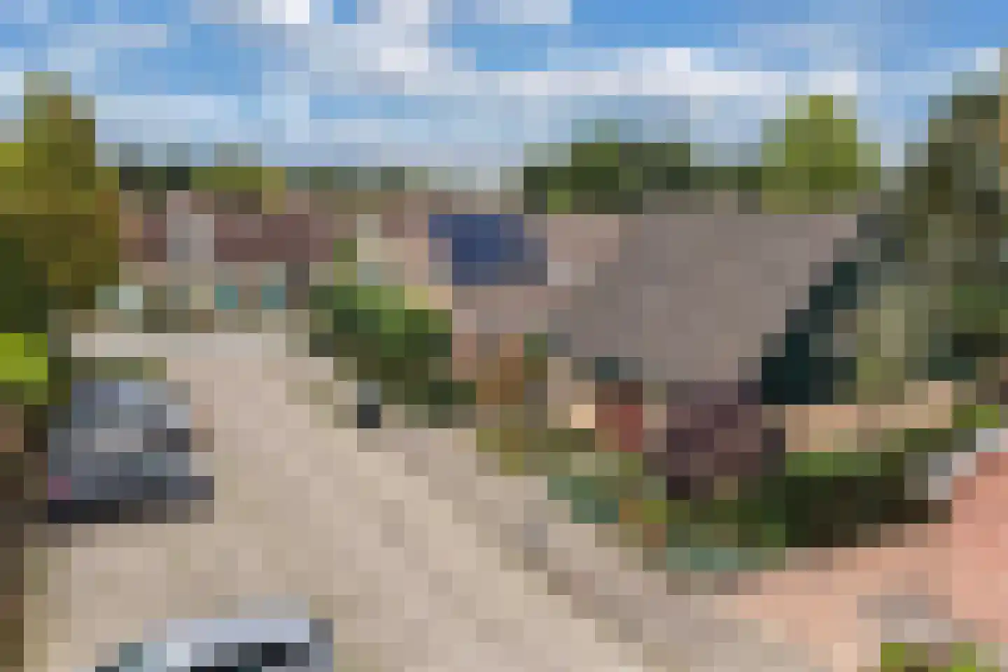Wimerts 7 Drachten thumbnail 58