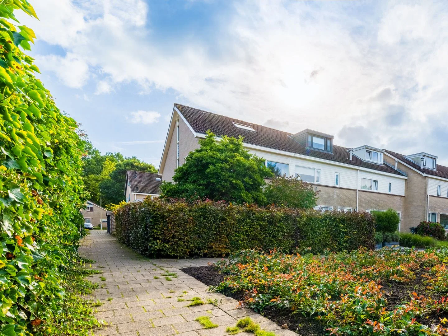 Wimerts 77 Drachten thumbnail 7