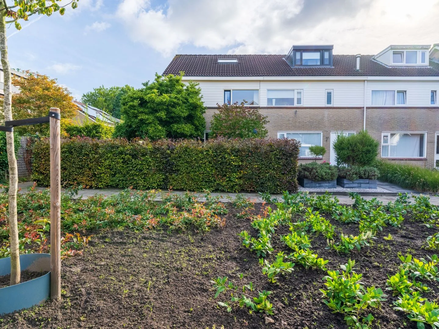 Wimerts 77 Drachten thumbnail 8