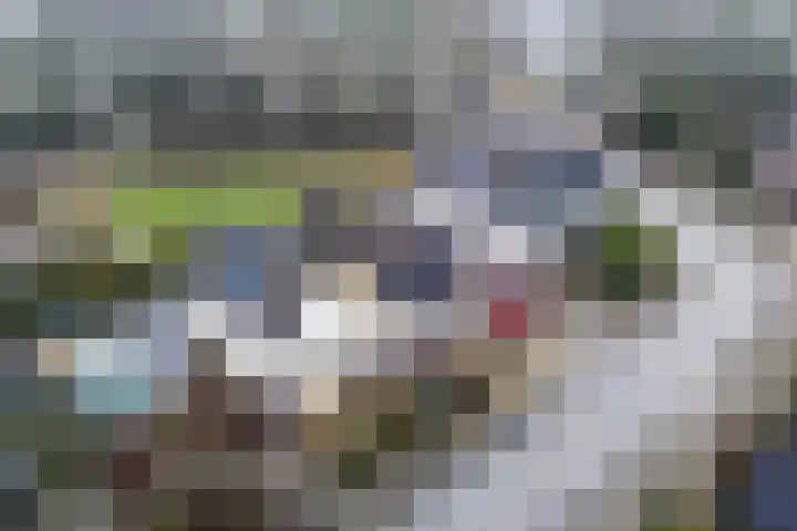 Wimerts 82 Drachten thumbnail 4