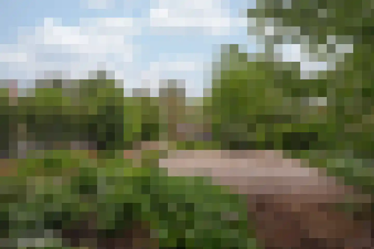 Wimmersstraat 34 Eygelshoven thumbnail 23