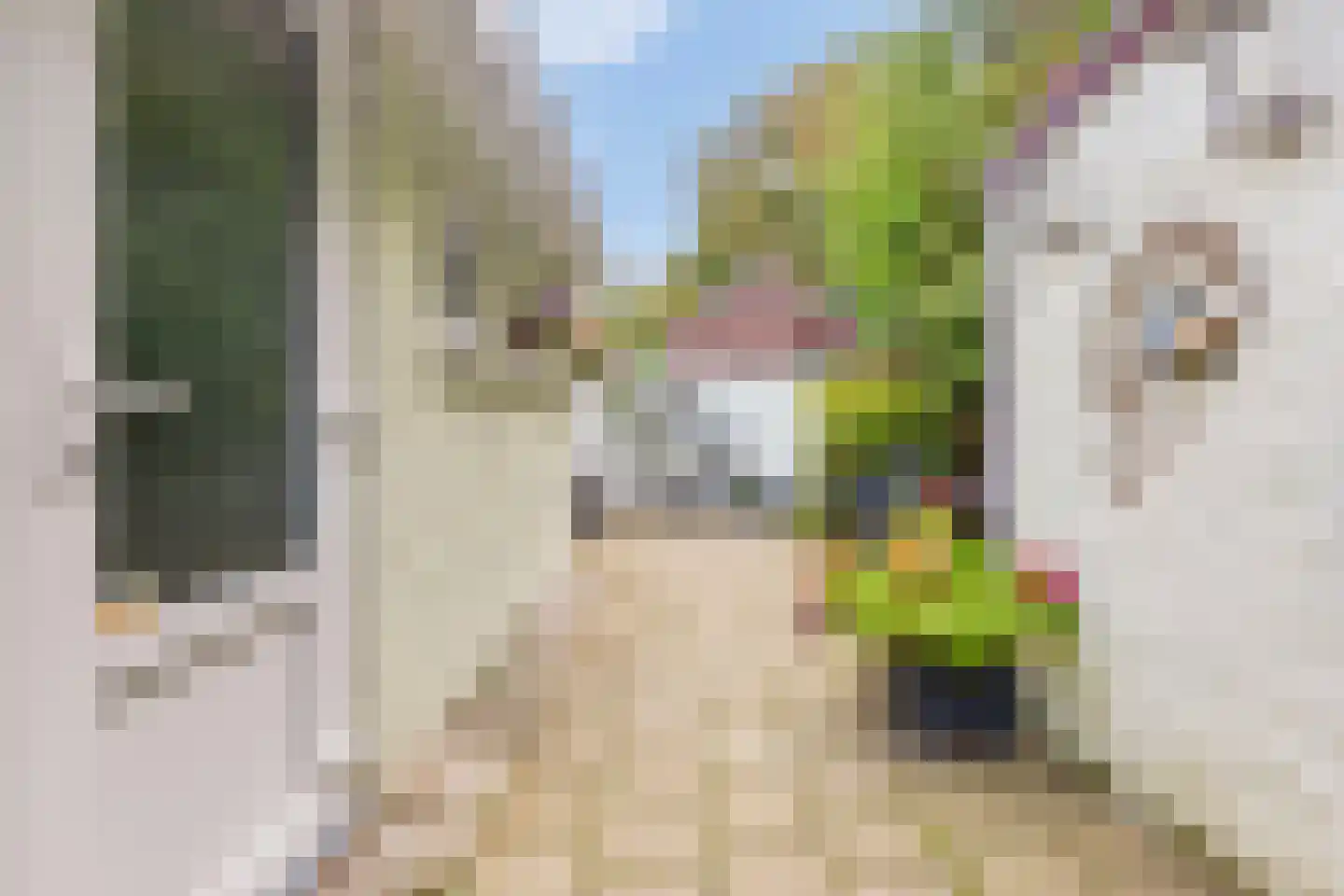 Wimmersstraat 41 Eygelshoven thumbnail 31