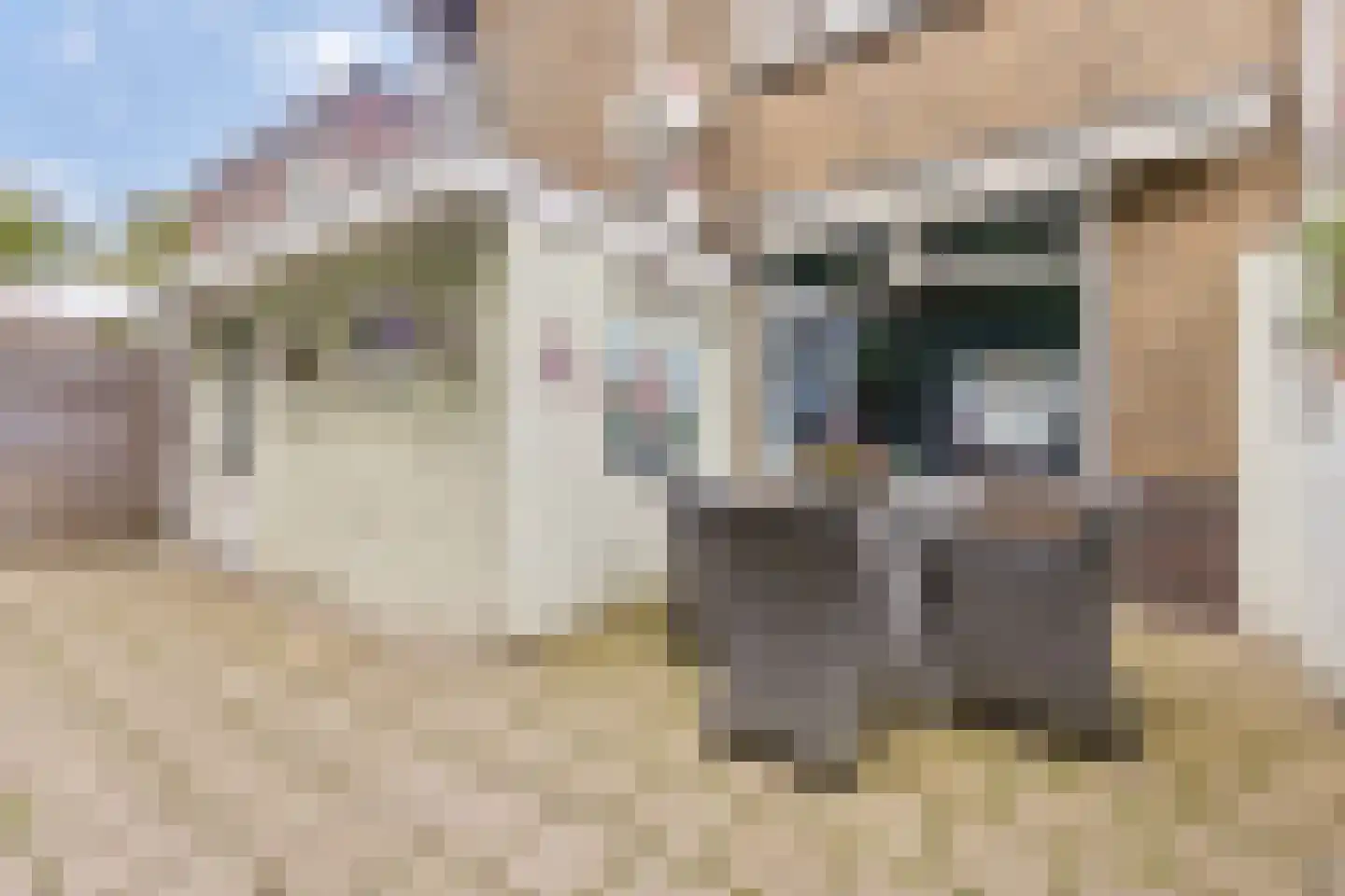 Wimmersstraat 41 Eygelshoven thumbnail 33