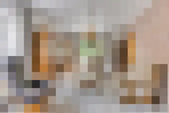 Wimmersstraat 48 Eygelshoven thumbnail 5