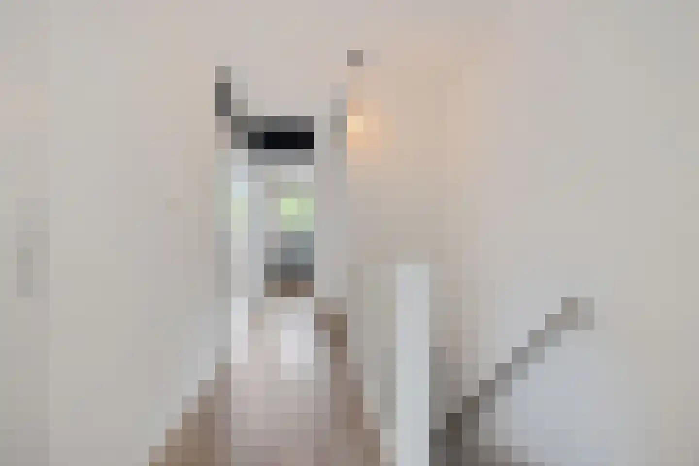 Wimpel 19 Groningen thumbnail 26