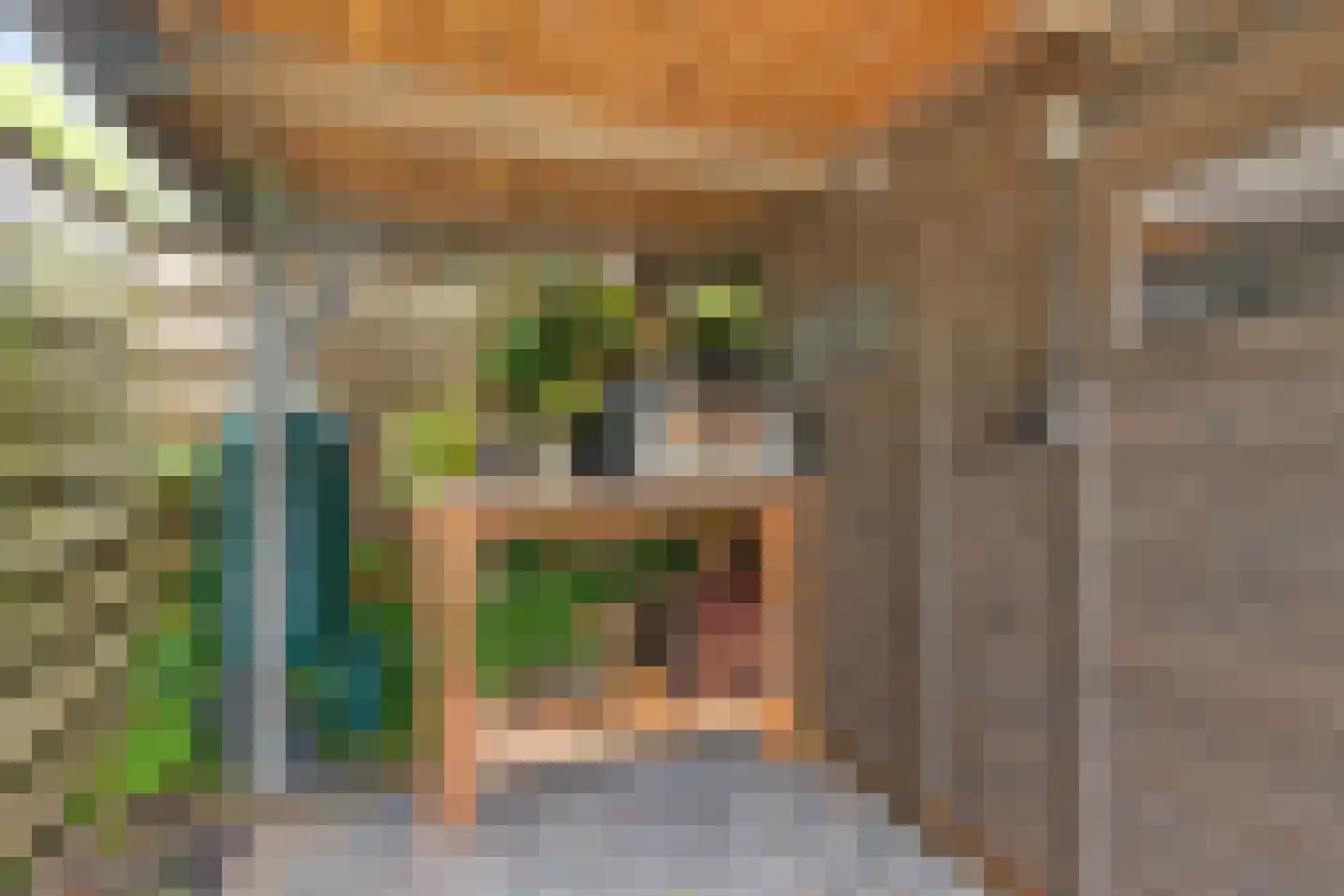 Wimpel 19 Groningen thumbnail 33