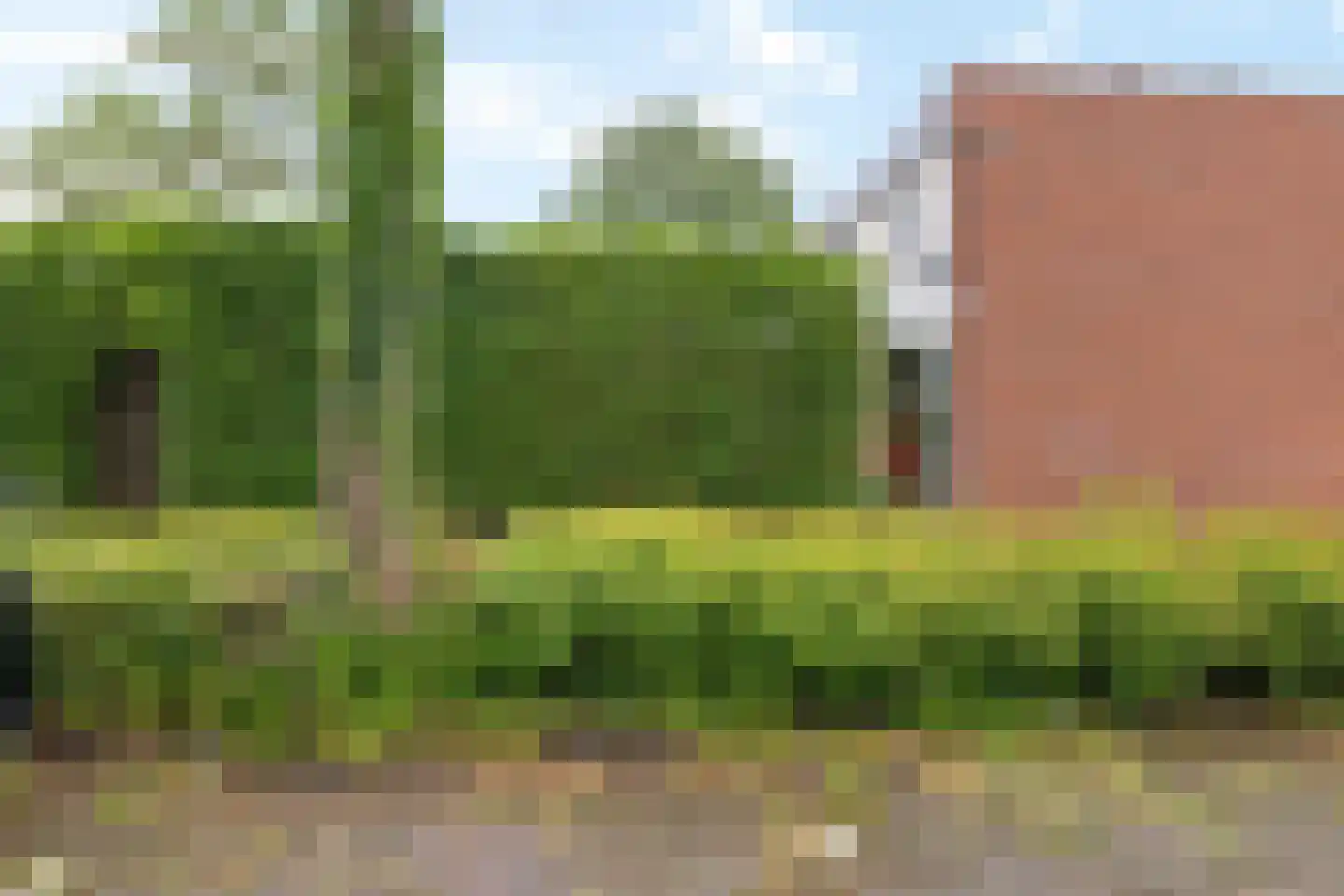 Wimpel 19 Groningen thumbnail 36