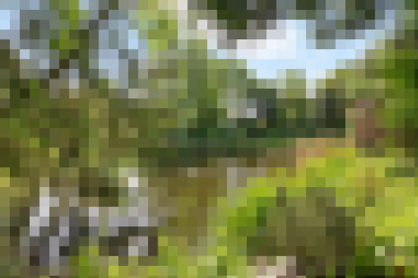 Wimpel 19 Groningen thumbnail 37