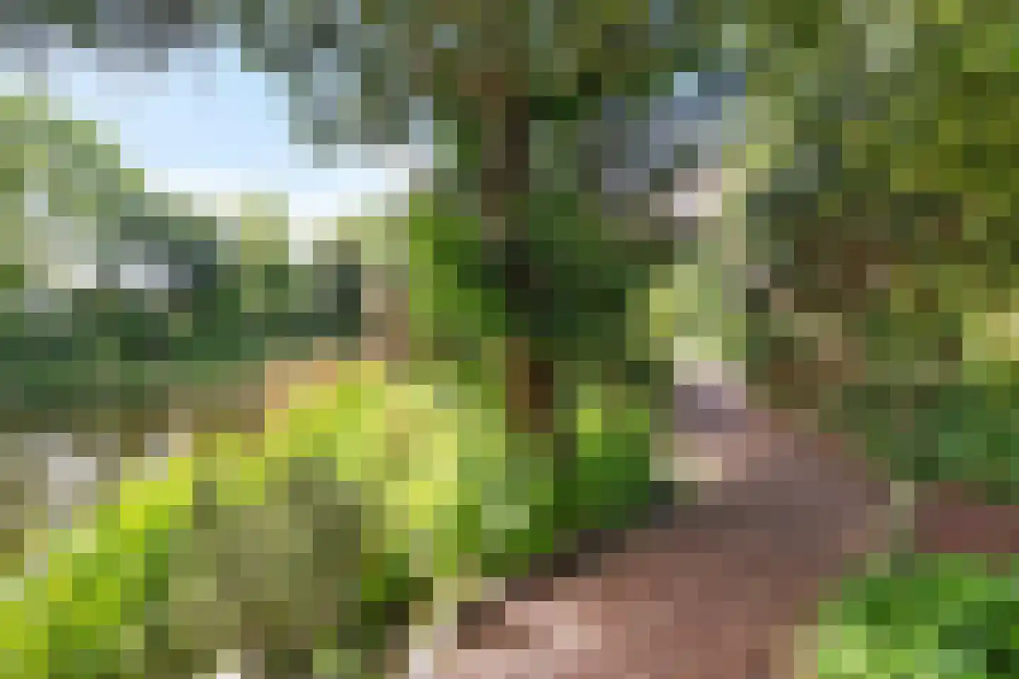 Wimpel 19 Groningen thumbnail 38