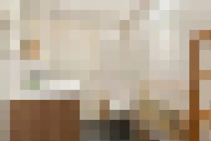 Wimpel 50 Groningen thumbnail 33