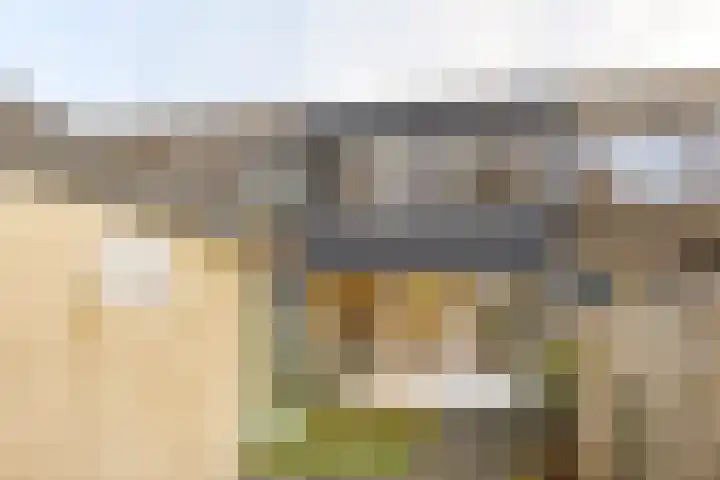 Wimpel 50 Groningen thumbnail 37