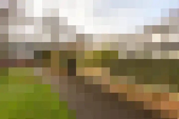 Wimpel 50 Groningen thumbnail 39