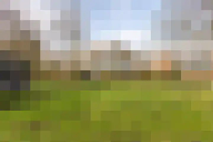Wimpel 50 Groningen thumbnail 40