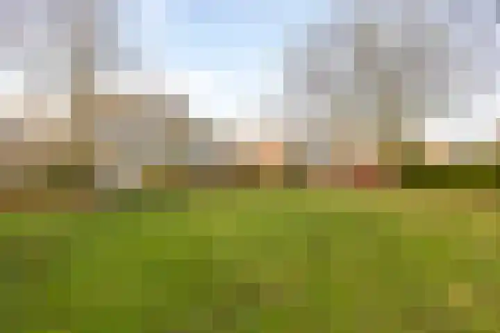 Wimpel 50 Groningen thumbnail 41