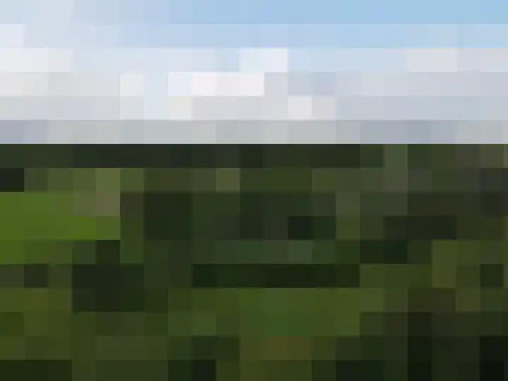 Wimpel 50 Groningen thumbnail 42
