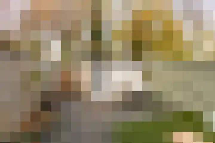 Wimpel 50 Groningen thumbnail 5
