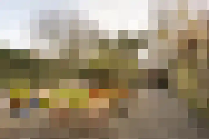 Wimpel 50 Groningen thumbnail 6