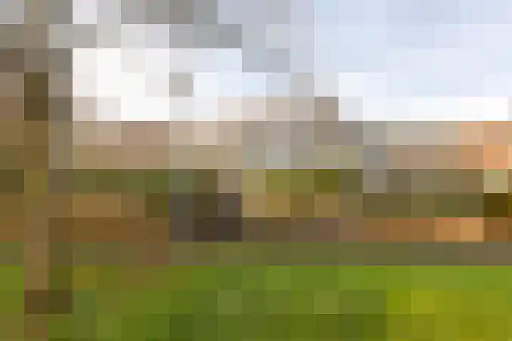 Wimpel 50 Groningen thumbnail 8