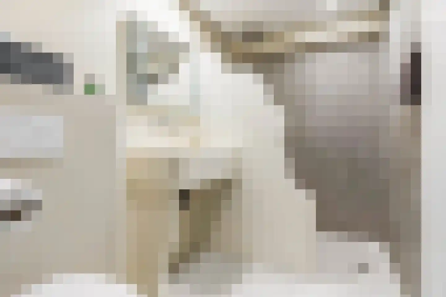 Wimpel 52 Groningen thumbnail 33