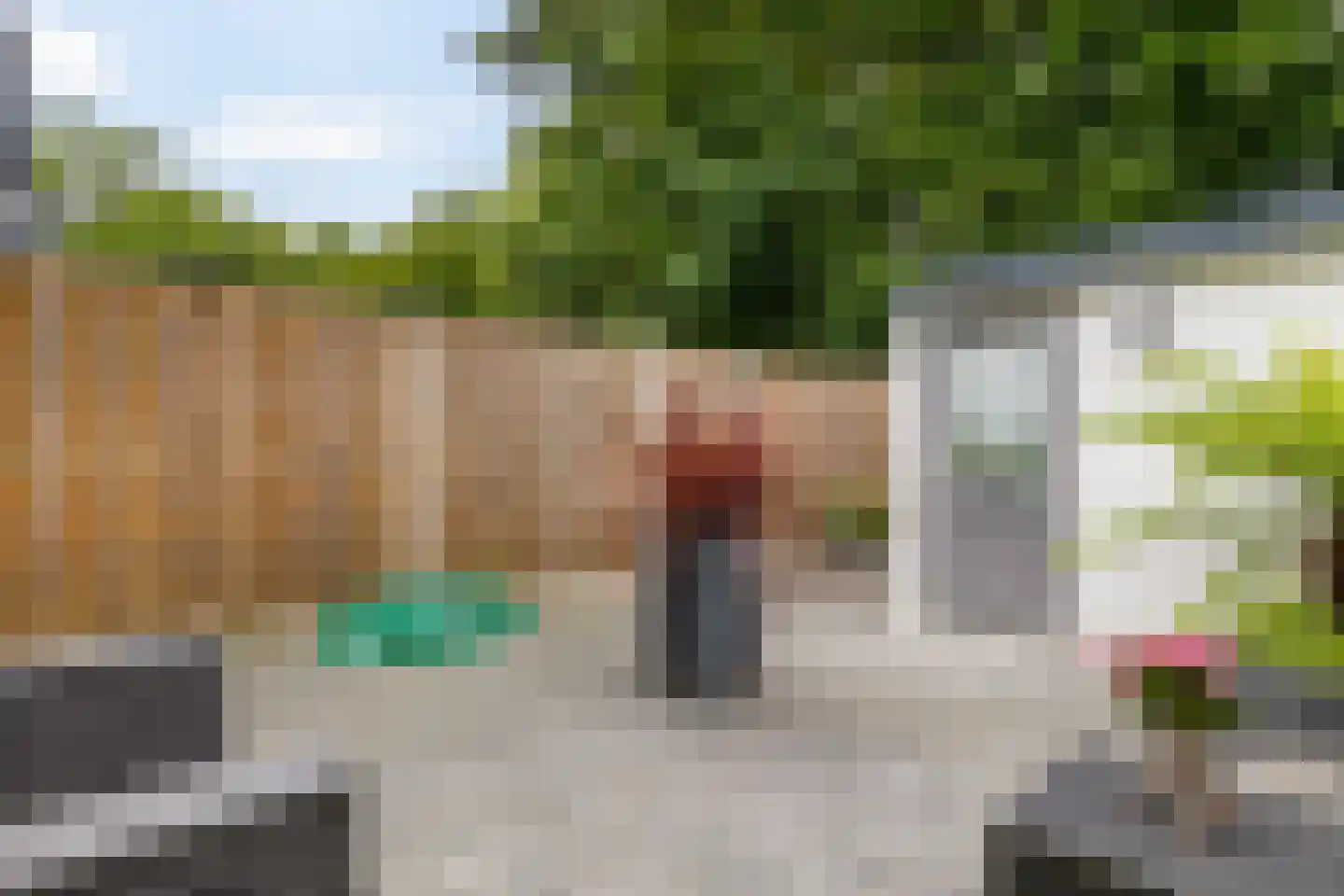 Wimpel 52 Groningen thumbnail 41
