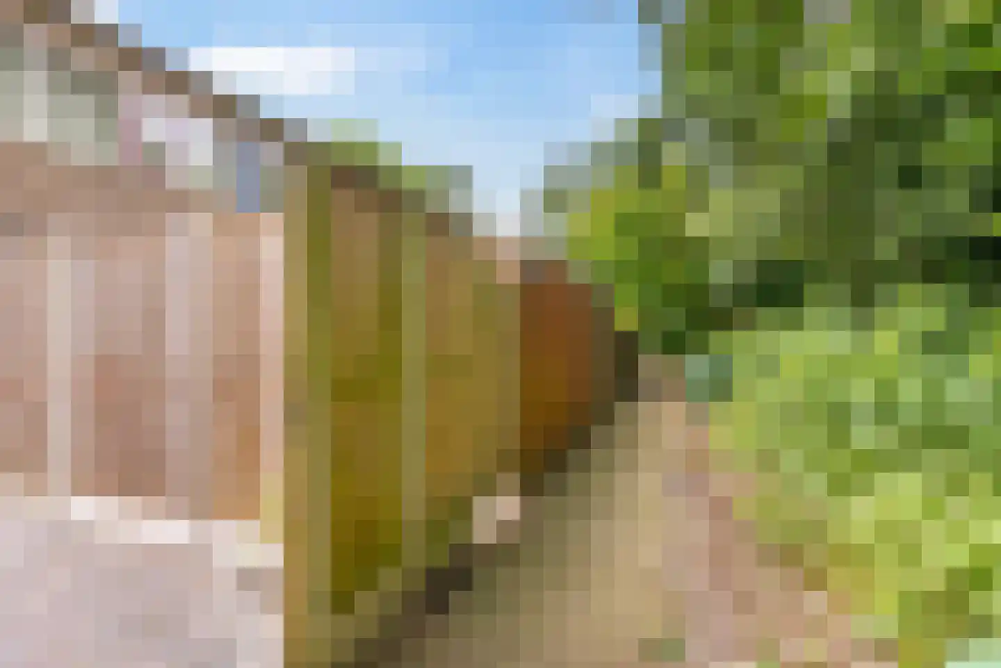 Wimpel 52 Groningen thumbnail 44