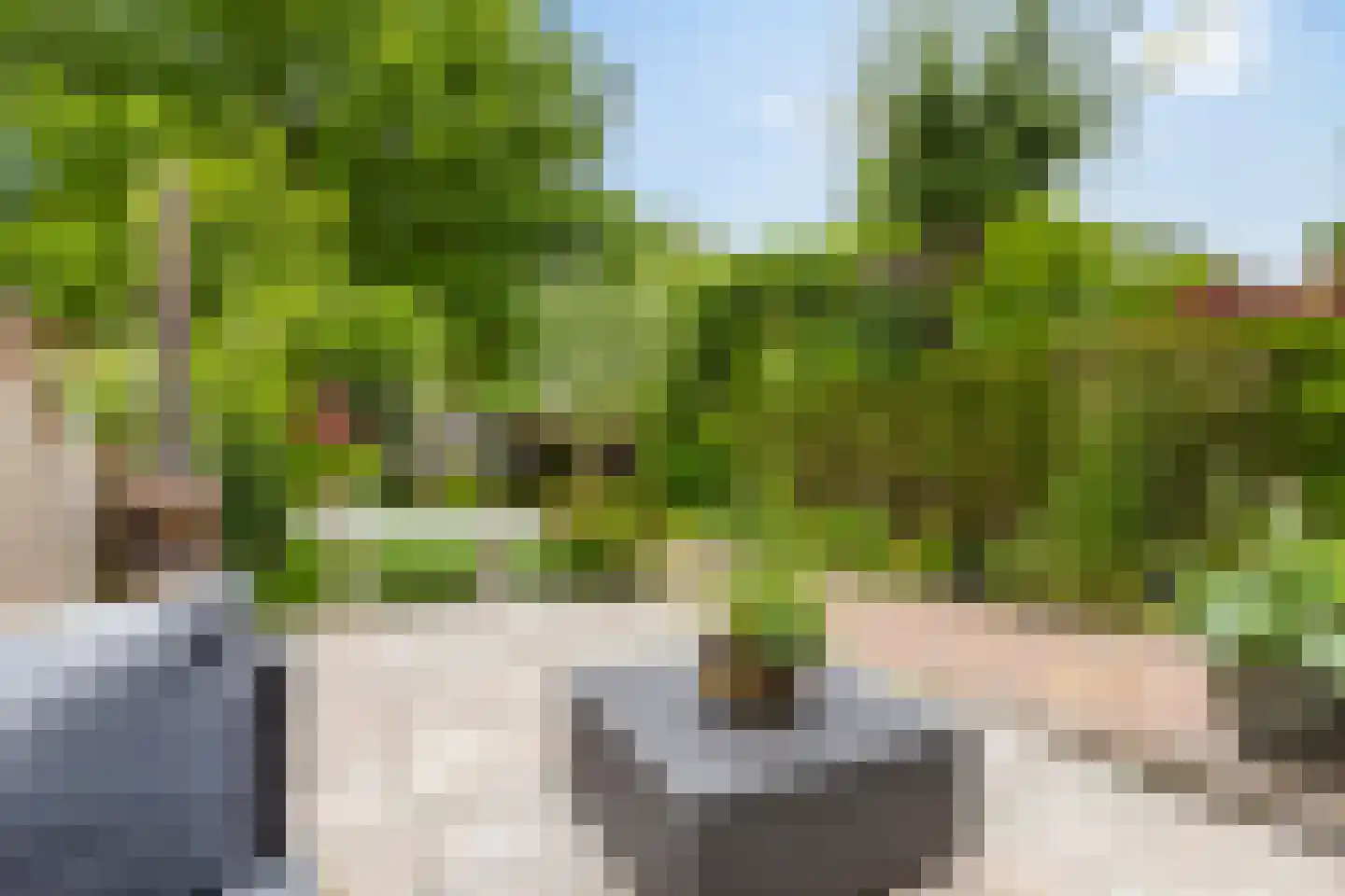 Wimpel 52 Groningen thumbnail 46