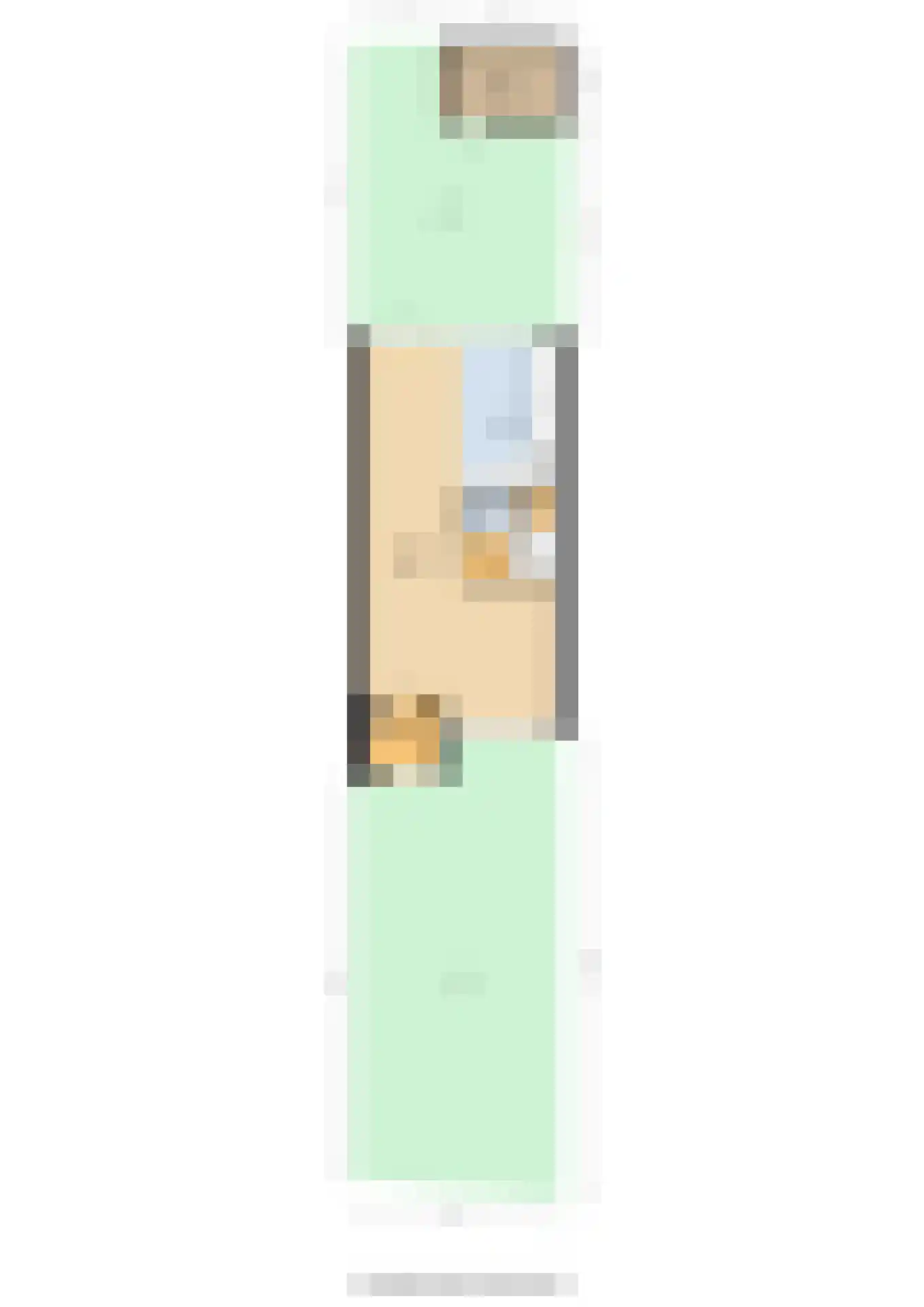 Wimpel 52 Groningen thumbnail 53