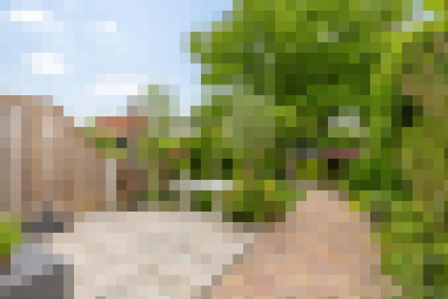 Wimpel 52 Groningen thumbnail 6