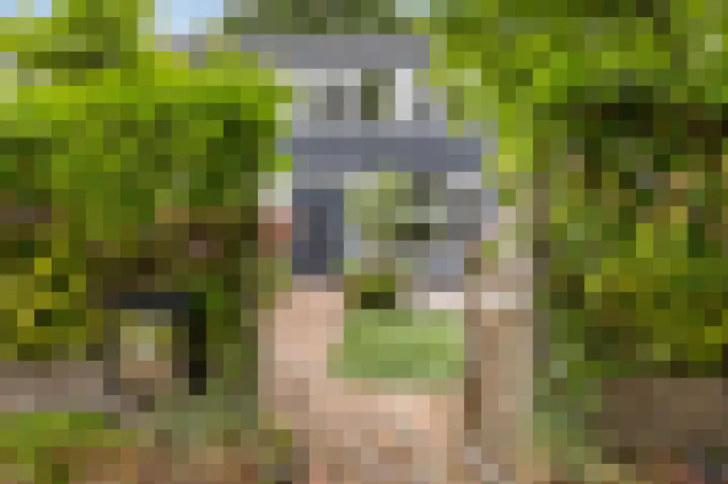 Wimpel 52 Groningen thumbnail 8