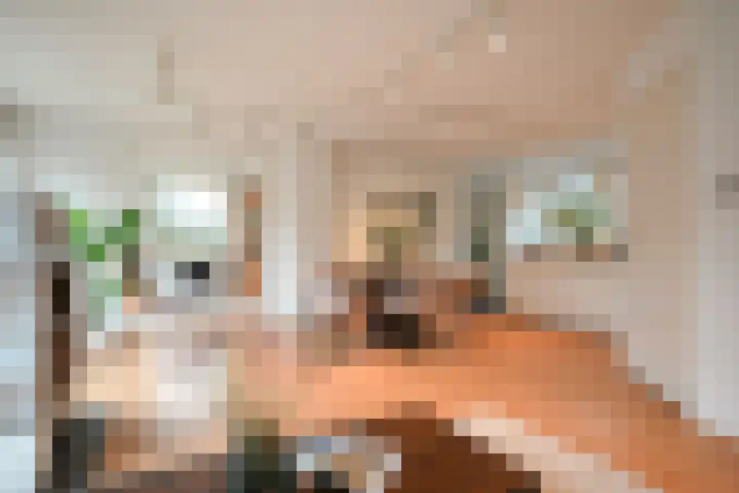 Wimpel 7 Huizen thumbnail 4
