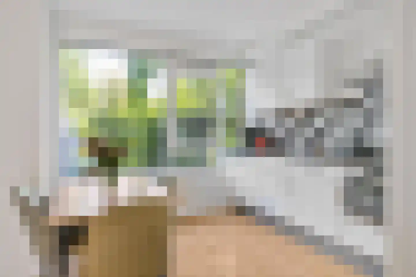 Wimpel 83 Groningen thumbnail 10