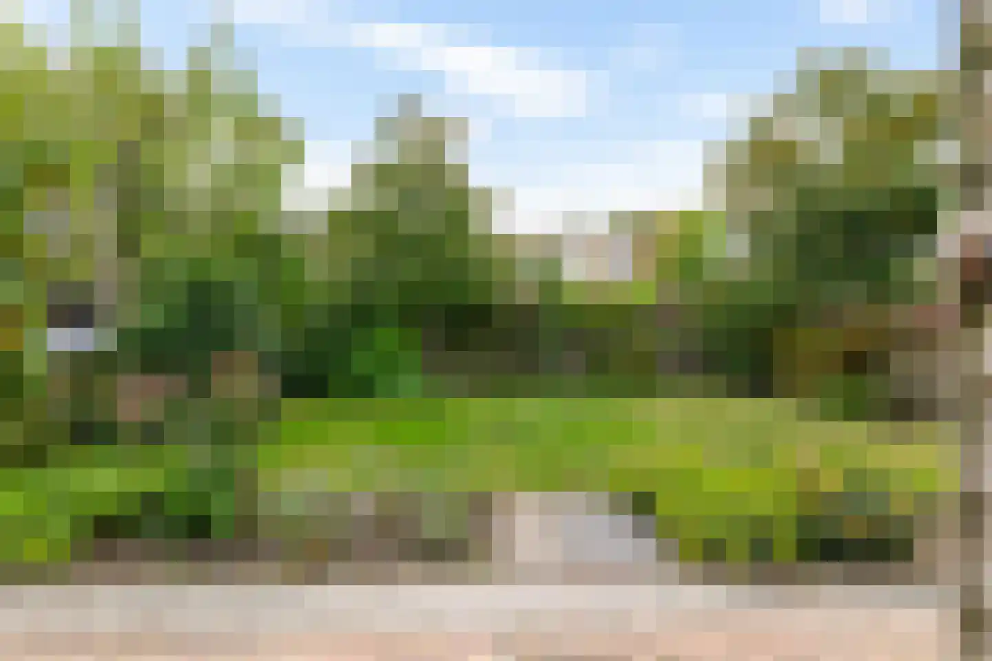 Wimpel 83 Groningen thumbnail 36