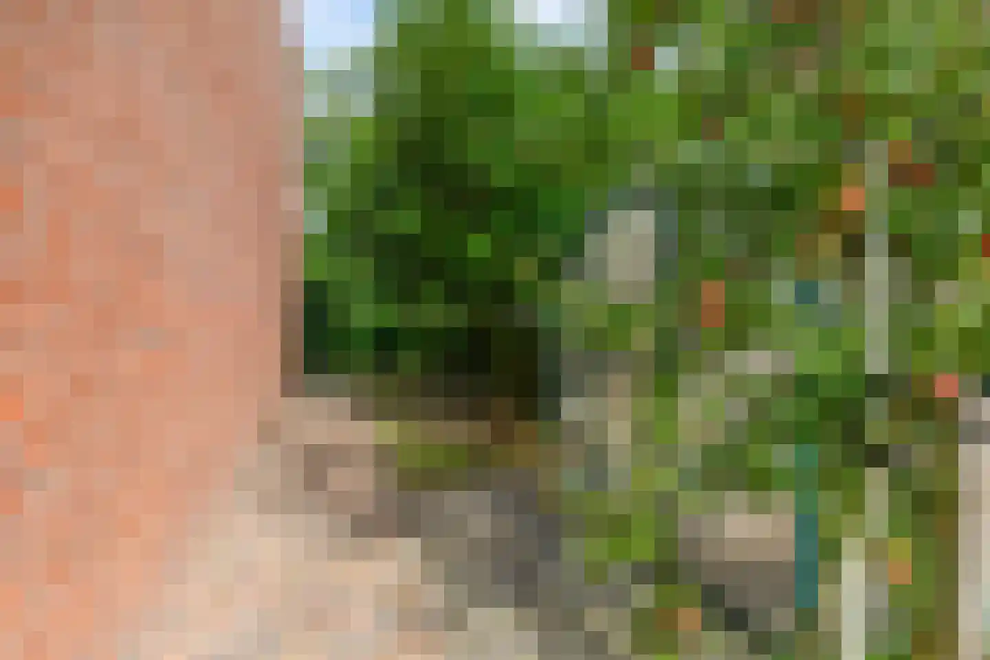 Wimpel 83 Groningen thumbnail 38