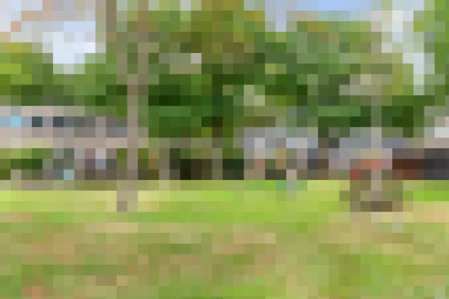 Wimpel 83 Groningen thumbnail 43