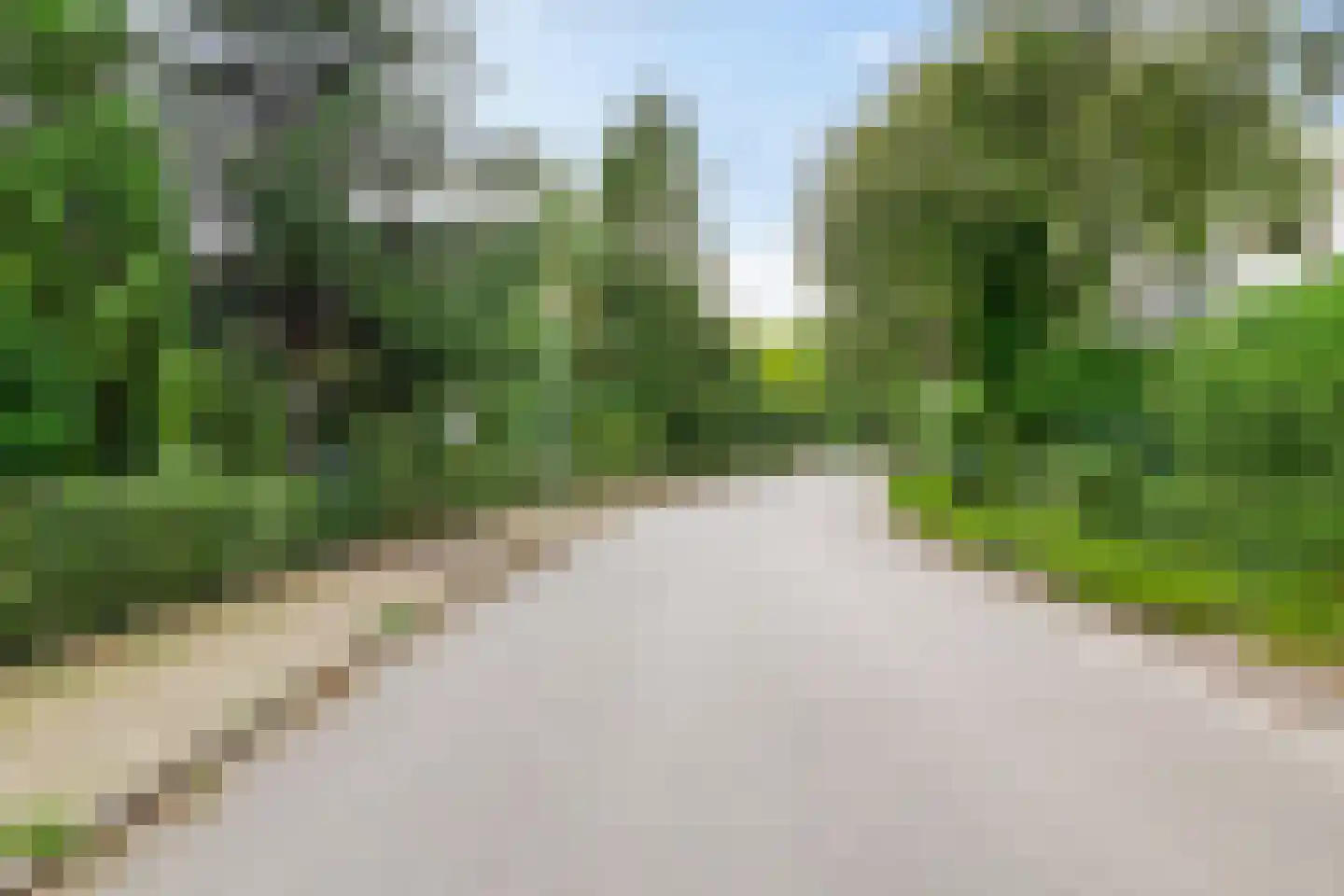 Wimpel 83 Groningen thumbnail 44